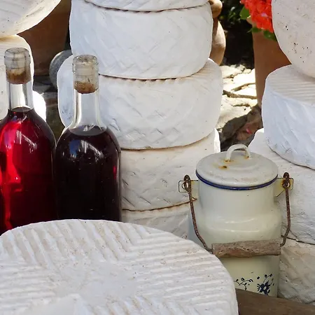Vakantiehuis Holiday In Icod De Los Vinos